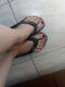 Piedi, feet